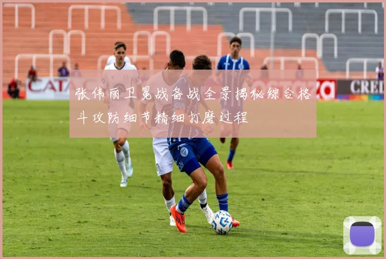 张伟丽卫冕战备战全景揭秘综合格斗攻防细节精细打磨过程
